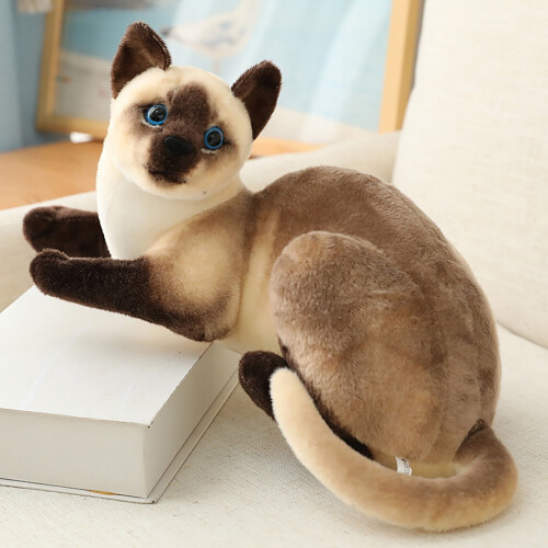 Siamese Cat Plush Toy Soft 25 cm 1