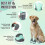 Botas respiráveis Autowt para cães com faixa refletora (4 unidades) 5