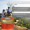 Emergency Candle Natural Aroma 24 Hour Burn 4