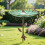 Vintage eiserne Gartenfütterungs- und Badestation mit 8