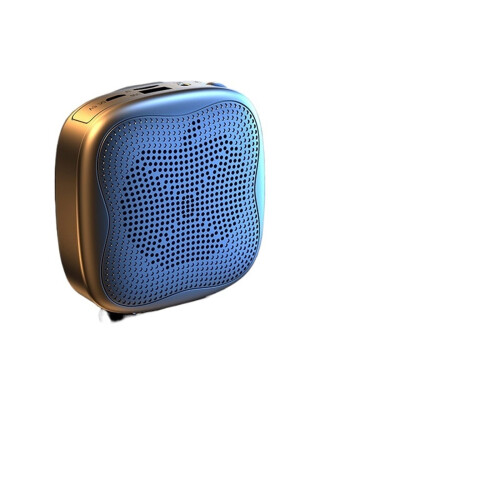 Portable voice amplifier with microphone, 10W rechargeable