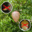 Esca per nido di vespe da esterno, 4 porte, 4 pezzi 7