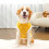 Hundepullover Winter Warm Gelb M 4