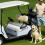 Toalha de assento para carrinho de golfe em microfibra, 130 x 79 cm (51 x 31 polegadas) 8