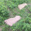 Simulated Footprint Stepping Stone Mold 2 pcs 4