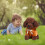 Braunes Teddyhund-Plüschtier, 20 cm 2