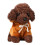 Braunes Teddyhund-Plüschtier, 20 cm 3
