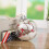 Clear Plastic Fillable Ornament Balls 4 inch 1