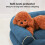 Dog Bed for Small Dogs Washable Supportive Foam with 3