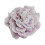 Nejlika Doftljus Aromaterapi Heminredning 1-pack 1