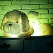 LED-puppykussen met nachtlampje voor kinderen