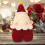 Christmas crochet set red Santa decoration materials 7