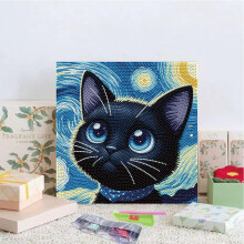 Kissa tähtikirkas yö DIY-taidesarja kehyksillä