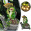 Estátua de jardim com sapo e tartaruga e suculentas para decoração externa. 1