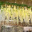 Artificial Wisteria Vine Garland 3.75FT 12 Pack 6
