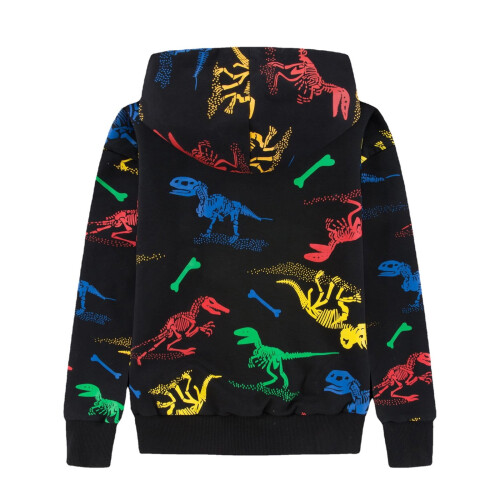 Barn Dinosaurie Hoodie Sweatshirt Tröja 2