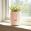 Vasos autoirrigáveis de plástico para plantas de interior, 15 cm (6 polegadas). 1