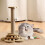 Cat Scratching Board and Climbing Frame with Sisal Post Toy 5