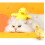 Automatic Cat Toy for Indoor Cats Under $10 3