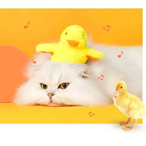 Automatic Cat Toy for Indoor Cats Under $10 2