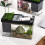 Aquarium écologique de bureau avec compartiments séparés 6