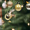 Onbreekbare kerstballen van 2,34 inch. 5