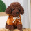 Braunes Teddyhund-Plüschtier, 20 cm 4