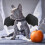 Στολή Halloween με φτερά νυχτερίδας για σκύλους και γάτες 7