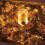 Fairy Lights Battery Operated 10 Ft 30 LED Twinkle String 5
