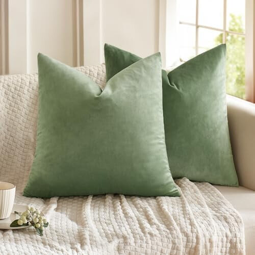 Fodere per cuscini in velluto verde salvia, set da 2 pezzi, 24x24 pollici