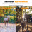 MIXFEER trail camera 1080P IR night vision 0.6s trigger 5