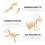 Dinosaur Skeletons Kids DIY Kit Khaki Plastic 7 Pieces 7