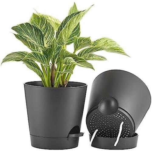 Plantepotter Selvvandende 20 cm, 2-pak, sort
