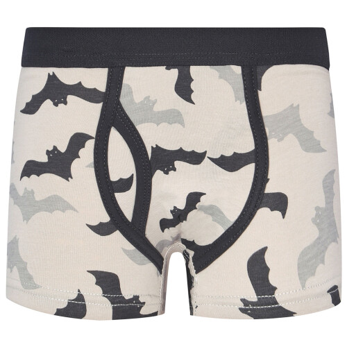 Boy's Cartoon Bat Boxer Briefs Soft Durable Fabric