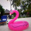 Flamingo inflatable swimming ring 116 cm 4