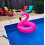 Flamingo inflatable swimming ring 116 cm 5