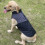 Dog Coat Reflective Waterproof Winter Warm Small Medium 8