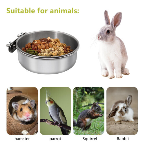 Stainless Steel Bird Feeding Dish with Clamp Holder for 2