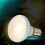 Reptile UVB UVA Heat Lamp Bulb 100 W 2 Pack 2