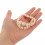 Plastic Fake Teeth Model for Education 2 pcs 7