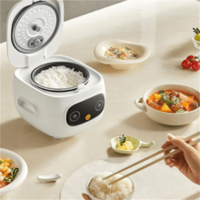 Mini rice cooker 4-cup cooked 2-cup raw 6-in-1