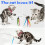 Cat Worm Toy Refills 12 Pack with Teaser Toys 7