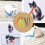 Cat Worm Toy Refills 12 Pack with Teaser Toys 8