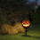 Ensemble de décorations lumineuses extérieures pour Halloween 6
