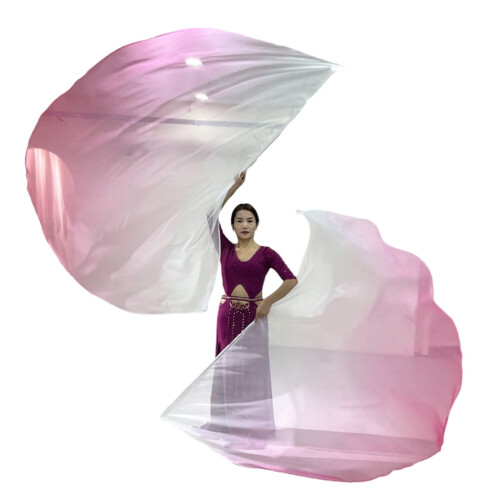 Praise Dance Flags Semicircle Wing Style 2 pcs