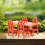 Mini Table and Chair Set Brown Indoor 5-Piece 8