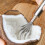 Grattoir à noix de coco en acier inoxydable avec base à ventouse et 1