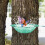 Hanging Bird Bath Outdoor Water Feeder Tray 7