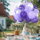 Fioletowo-białe balony 12 cali 30 szt. 1