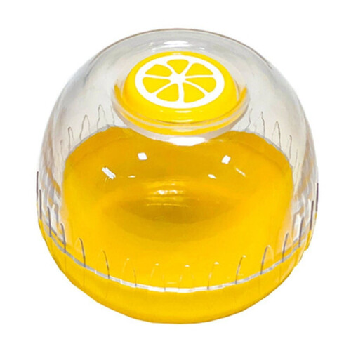 Boîte de conservation pour citrons au réfrigérateur (1 pièce)